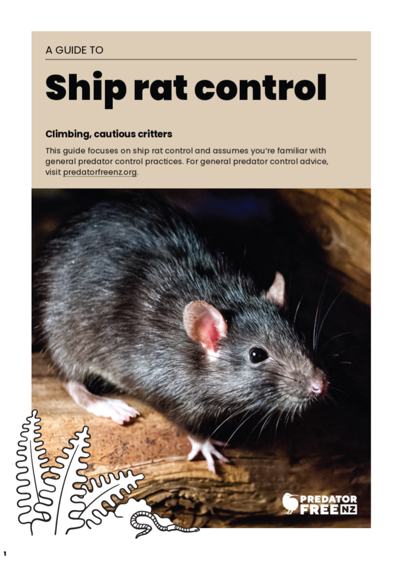 Guide to ship rat control with a close-up of a rat on a wooden surface.