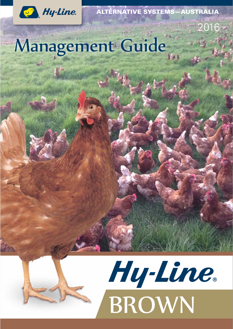 High-line Brown Management Guide with a Field of Chickens 