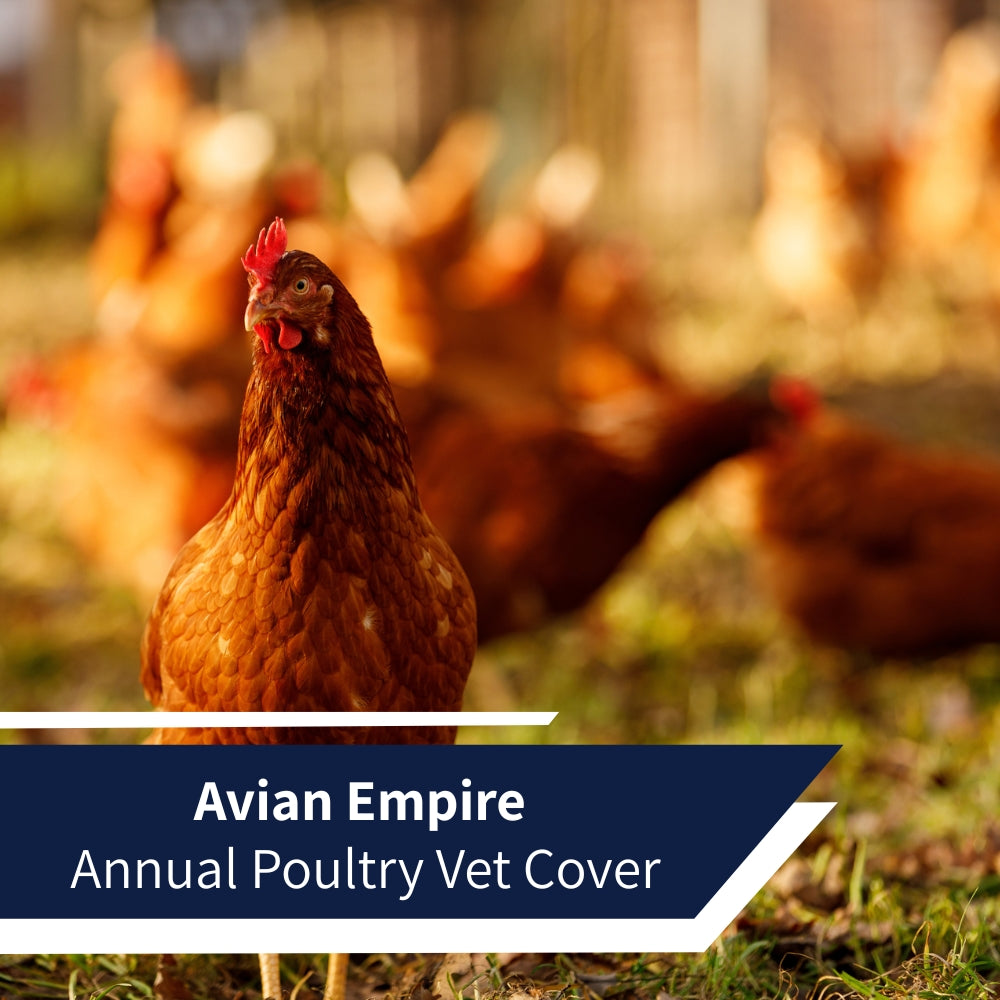 Poultry vet cover for commercial farms