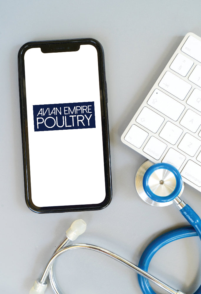 telemedicine for a bird vet, avian vet nz 