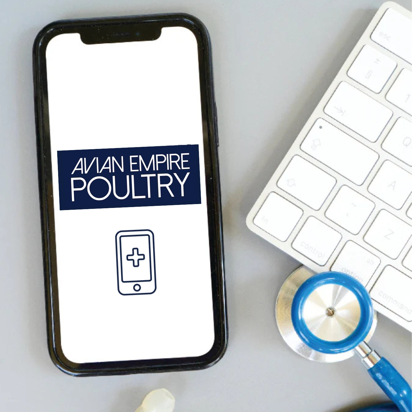 Phone a commercial poultry vet